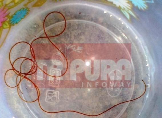 Rare reptile recovered in Tripura Rare reptile recovered in Tripura